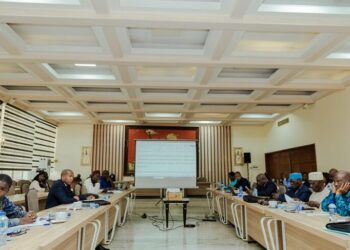 Travaux en commission: Le CNT examine la loi organique relative à la Cour spéciale de Justice de la République