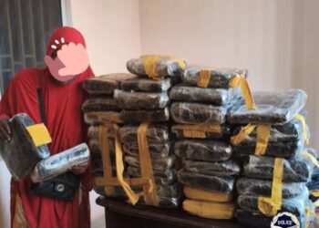 Mandiana : une dame interpellée avec 37 kgs de chanvre indien (Police)