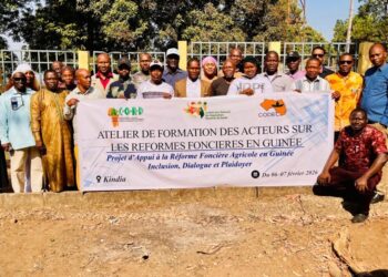 Kindia : L&rsquo;ONG ACORD-Guinée renforce les capacités de nouveaux acteurs pour une meilleure appropriation des politiques foncières