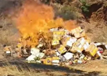 Dinguiraye : plus 3 tonnes de produits périmés incinérés par la Direction préfectorale du Commerce et de l’Industrie