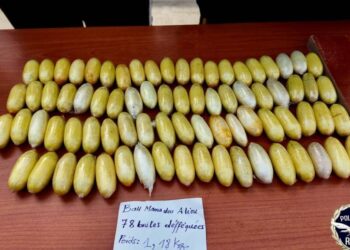 Trafic de drogue : plus de 300 boules de cocaïne saisies par la Police guinéenne