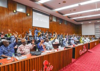 Economie : la Loi-Plan Simandou 2040 adoptée par une large majorité des conseillers nationaux du CNT (plénière)