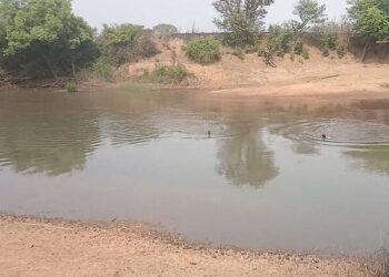 Drame à Dinguiraye un maître maçon disparaît dans les eaux du fleuve Bafing en tentant de traverser