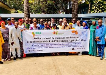 LOA en Guinée : l’urgence des textes d’application pour des résultats concrets