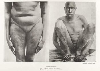 L’esclavage des noirs est le plus long crime contre l’humanité (Par Aimé Stéphane MANSARE (Opinion)