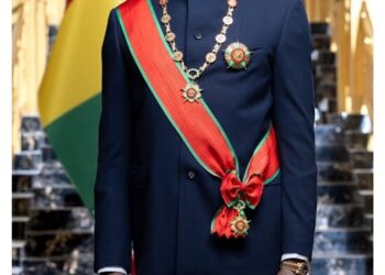 Guinée : reconnaissance officielle à travers des distinctions pour plusieurs cadres (décret)