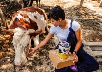 8 mars au Liban : des femmes agricultrices entre résilience, crises et bombardements