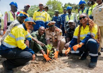 Rio Tinto Guinée transfère la pépinière communautaire de Dantilia à la communauté locale