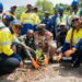 Rio Tinto Guinée transfère la pépinière communautaire de Dantilia à la communauté locale