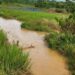 Beyla : Les sources d’eau potable fortement impactées à Nionsomoridou