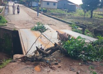 Kindia : Le pont de Kenendé cède face à l’érosion, les usagers plongés dans l’impasse