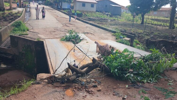 Kindia : Le pont de Kenendé cède face à l’érosion, les usagers plongés dans l’impasse