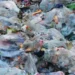 La Guinée dit NON aux plastiques à usage unique !