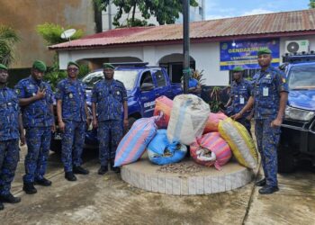 Guinée : 359 kg d’écailles de pangolin saisis par la Gendarmerie de l’Environnement