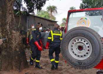 Kindia : Un corps découvert suspendu à un manguier à Komoya