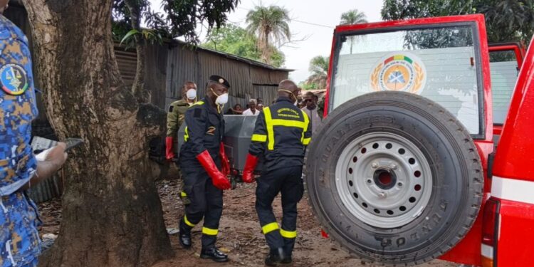 Kindia : Un corps découvert suspendu à un manguier à Komoya