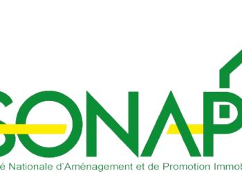 Faux communiqué: la SONAPI dément toute vente de parcelles liée à Simandou 2040