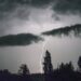Prudence, l’ANM alerte : de fortes pluies, des orages et des vents violents attendus