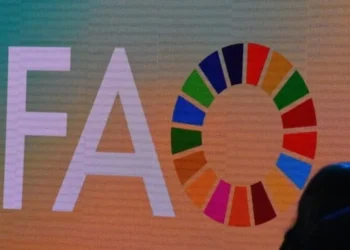 La faim recule dans le monde, mais frappe désormais un Africain sur cinq