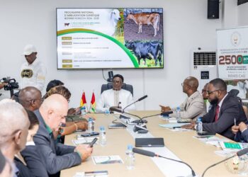 Elevage : 5 000 bovins pour accélérer la transformation de la filière guinéenne