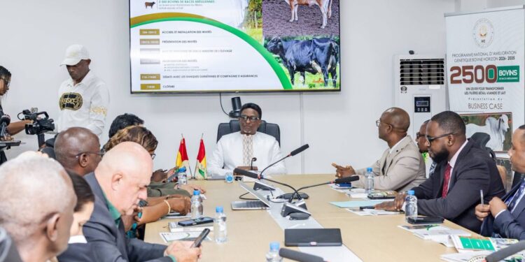 Elevage : 5 000 bovins pour accélérer la transformation de la filière guinéenne
