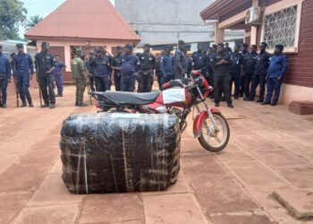 Kindia/Drogue: Saisie de plus de 150 Kg de chanvre indien