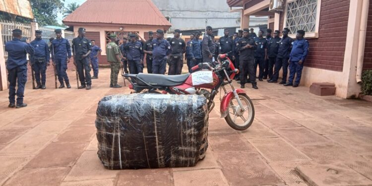 Kindia/Drogue: Saisie de plus de 150 Kg de chanvre indien