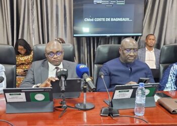 Guinée: 43 projets et programmes de développement soumis à une évaluation à mi-parcours