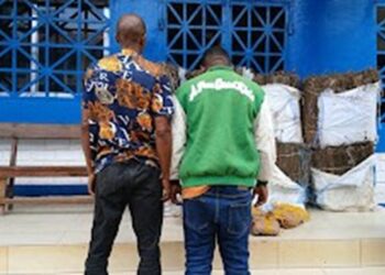 Trafic de Drogue : une grande quantité saisie à Kindia