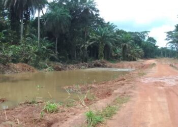 Yomou : Le pont de Péla exposé à un risque d’inondation sur l’axe Yomou-N’Zérékoré