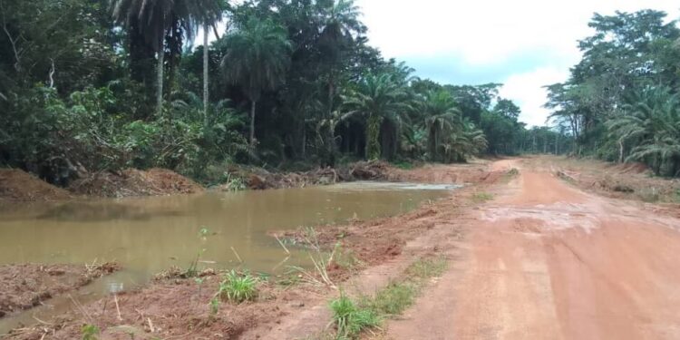 Yomou : Le pont de Péla exposé à un risque d’inondation sur l’axe Yomou-N’Zérékoré