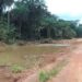 Yomou : Le pont de Péla exposé à un risque d’inondation sur l’axe Yomou-N’Zérékoré