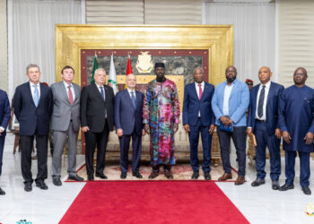 Guinée/Simandou 2040 : le Président Mamadi DOUMBOUYA reçoit une délégation de RUSAL