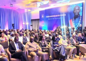 Guinée/Fonds souverain : Véritable expression de la vision du Chef de l’État