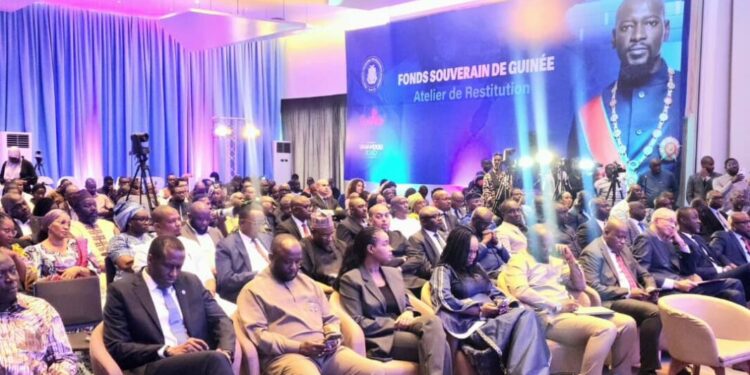Guinée/Fonds souverain : Véritable expression de la vision du Chef de l’État