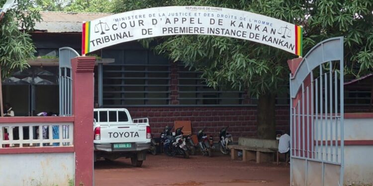 Kankan : 39 personnes placées sous mandat de dépôt dans une opération contre les stupéfiants