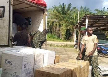 Yomou: Une camionnette en provenance du Liberia saisie avec un important lot de produits pharmaceutiques
