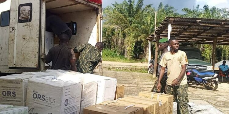 Yomou: Une camionnette en provenance du Liberia saisie avec un important lot de produits pharmaceutiques