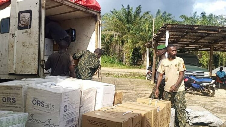 Yomou: Une camionnette en provenance du Liberia saisie avec un important lot de produits pharmaceutiques
