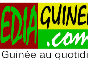 Mediaguinee.com : des difficultés techniques perturbent la mise en ligne des articles (communiqué)