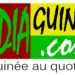 Mediaguinee.com : des difficultés techniques perturbent la mise en ligne des articles (communiqué)