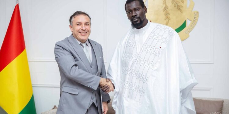 Conakry : le Président Mamadi DOUMBOUYA reçoit trois ambassadeurs